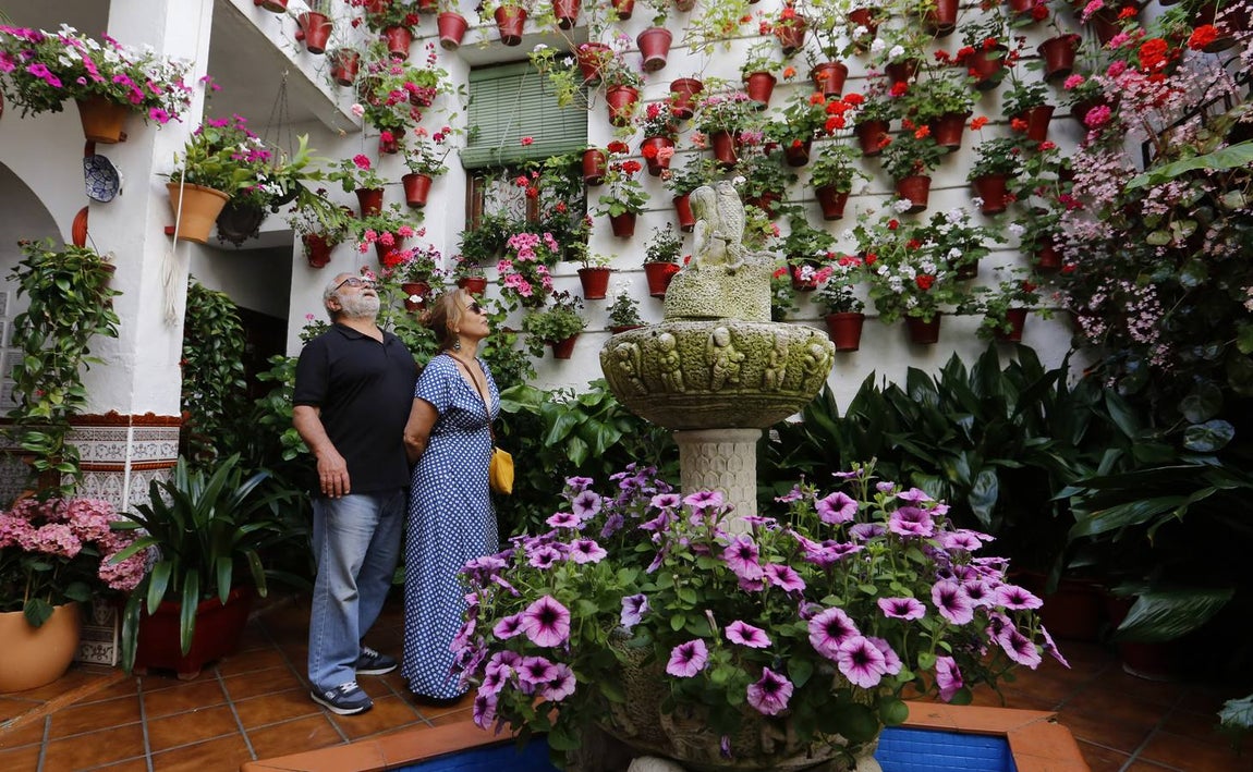 El encanto de los Patios de San Francisco y la Judería de Córdoba, en imágenes