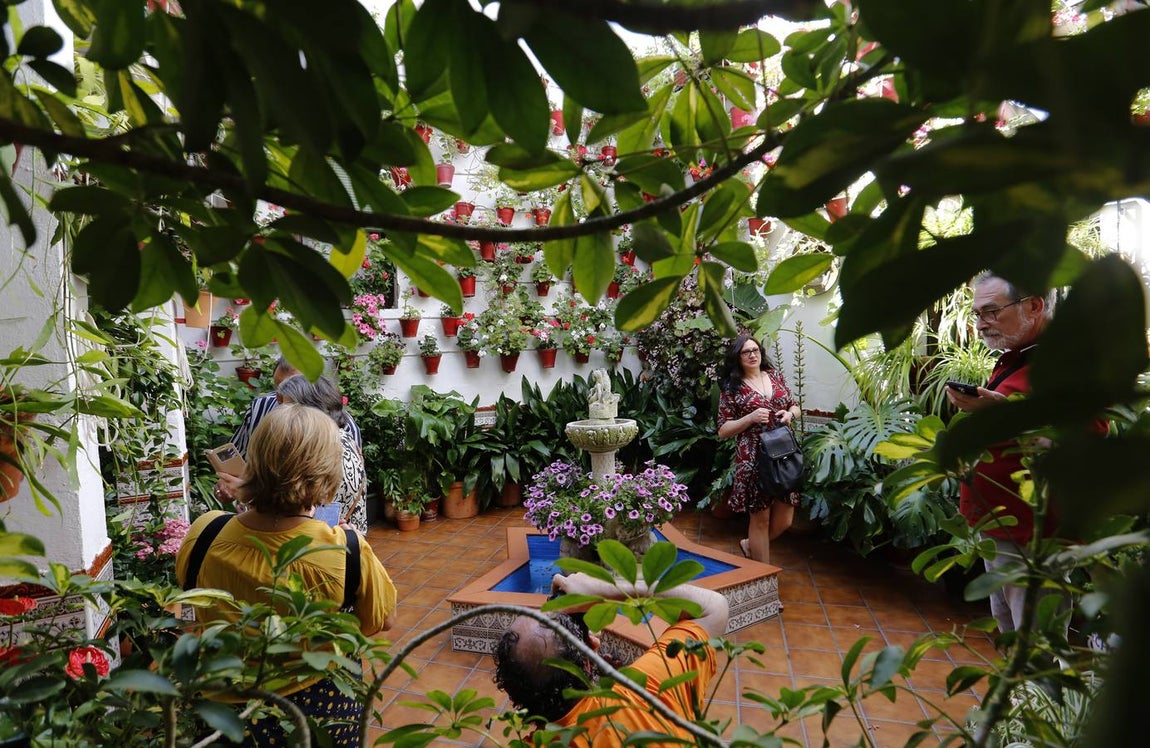 El encanto de los Patios de San Francisco y la Judería de Córdoba, en imágenes