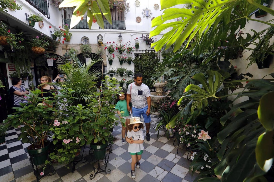 El encanto de los Patios de San Francisco y la Judería de Córdoba, en imágenes