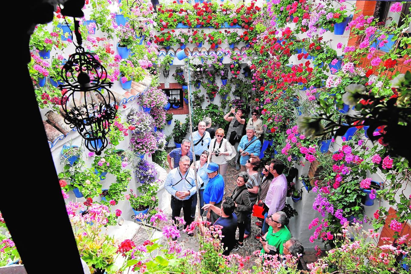 El esplendor de los patios de San Basilio-Alcázar Viejo en Córdoba, en imágenes