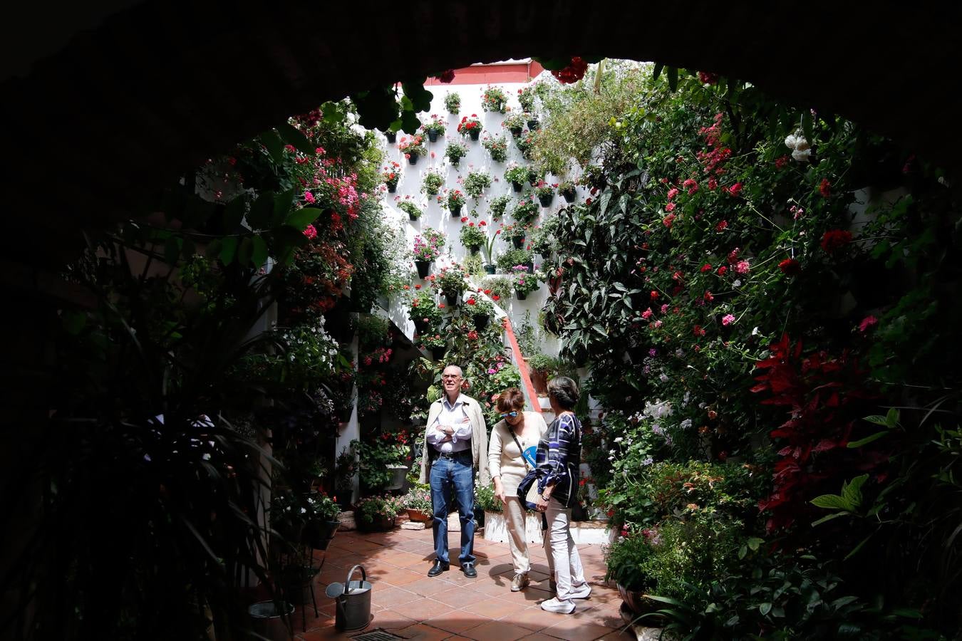 El esplendor de los patios de San Basilio-Alcázar Viejo en Córdoba, en imágenes