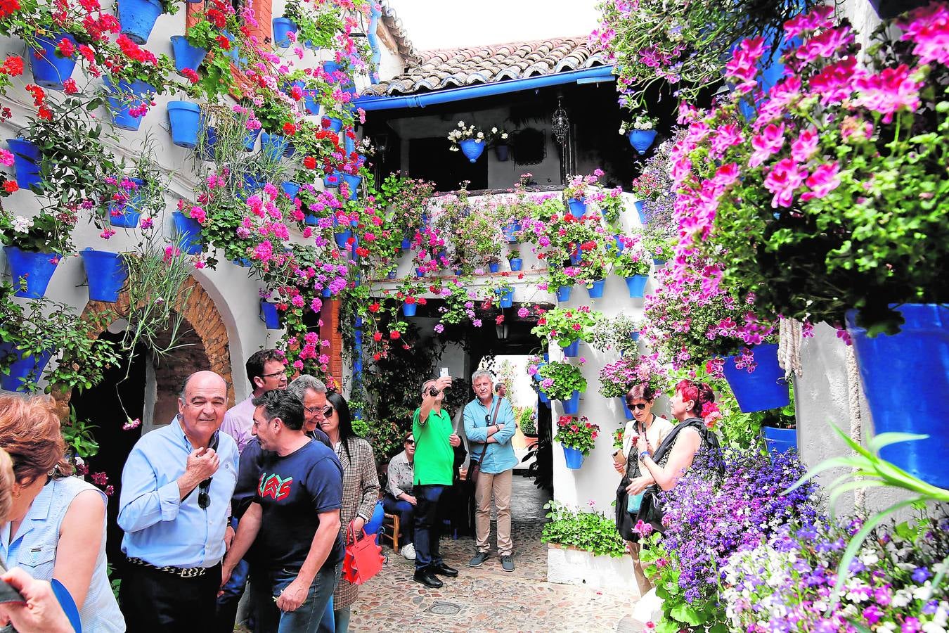 El esplendor de los patios de San Basilio-Alcázar Viejo en Córdoba, en imágenes