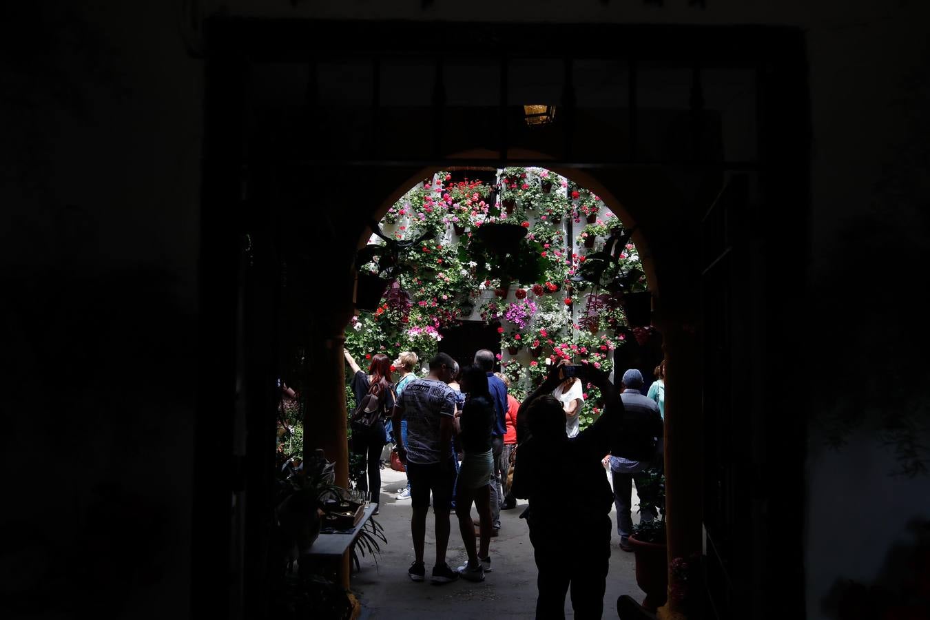 El esplendor de los patios de San Basilio-Alcázar Viejo en Córdoba, en imágenes