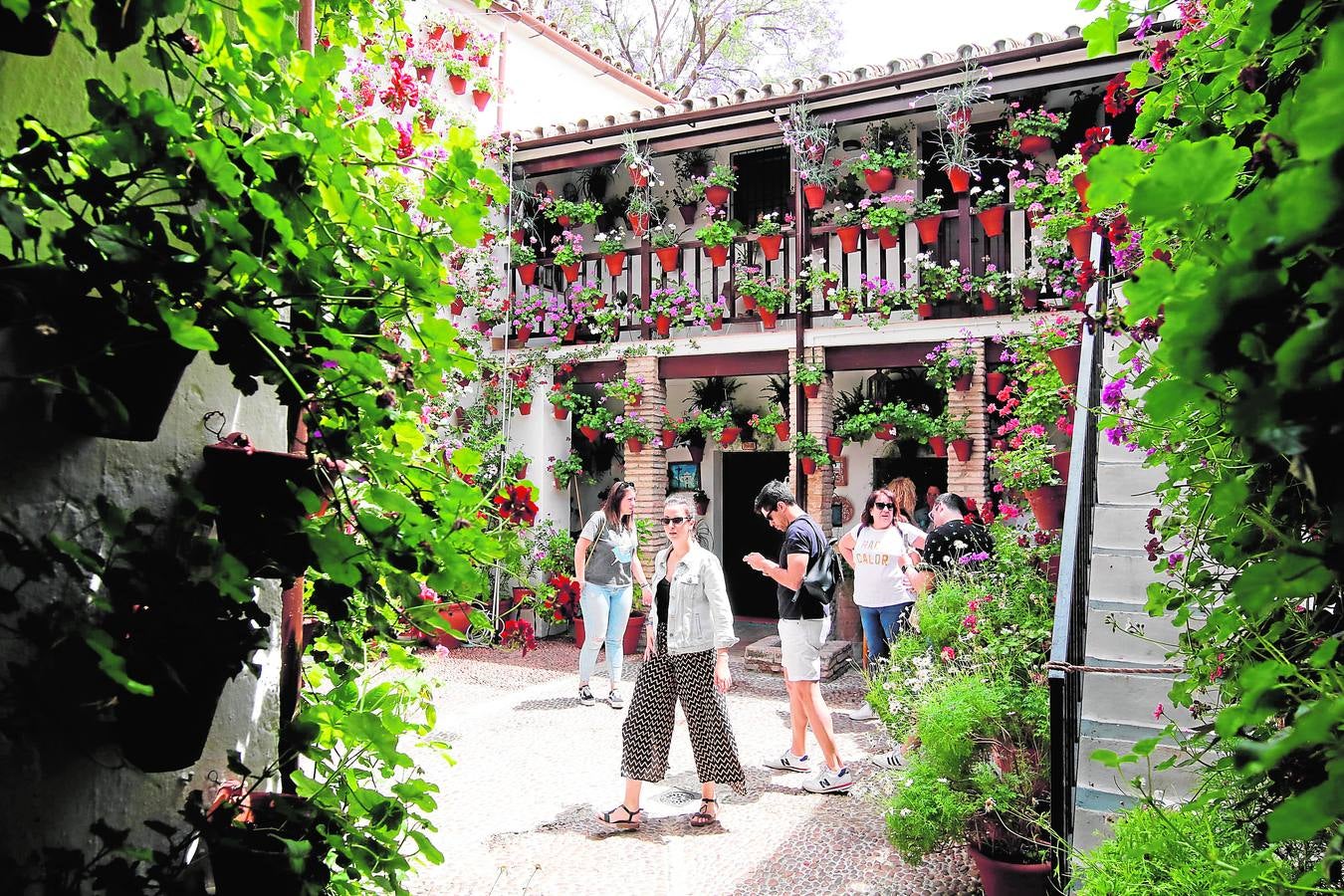 El esplendor de los patios de San Basilio-Alcázar Viejo en Córdoba, en imágenes