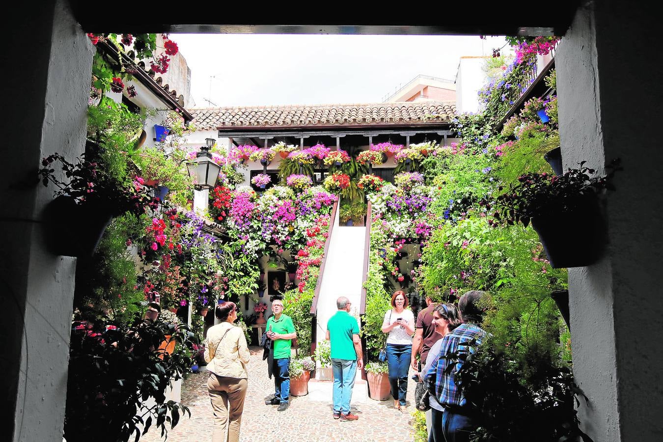 El esplendor de los patios de San Basilio-Alcázar Viejo en Córdoba, en imágenes