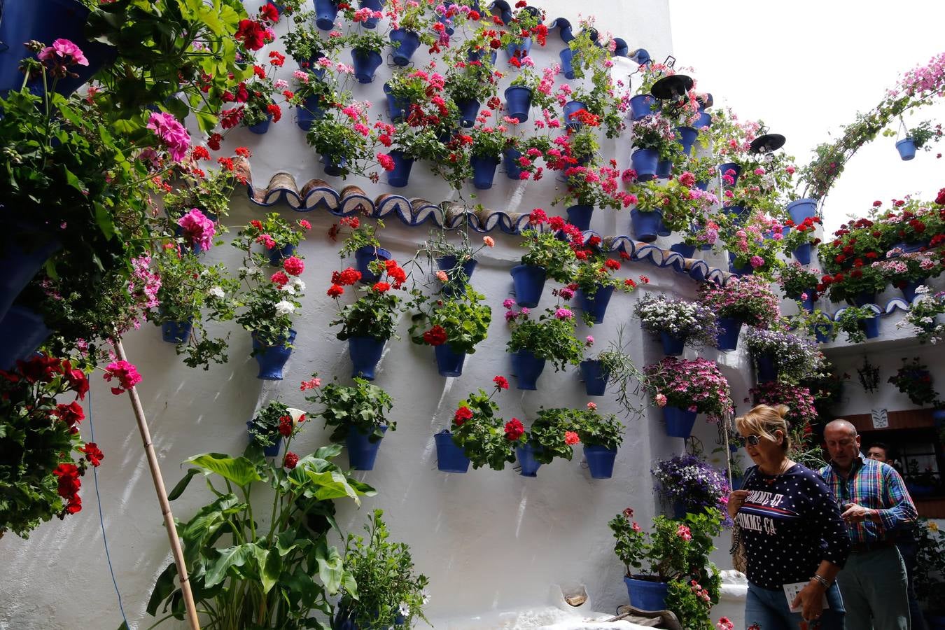 El esplendor de los patios de San Basilio-Alcázar Viejo en Córdoba, en imágenes