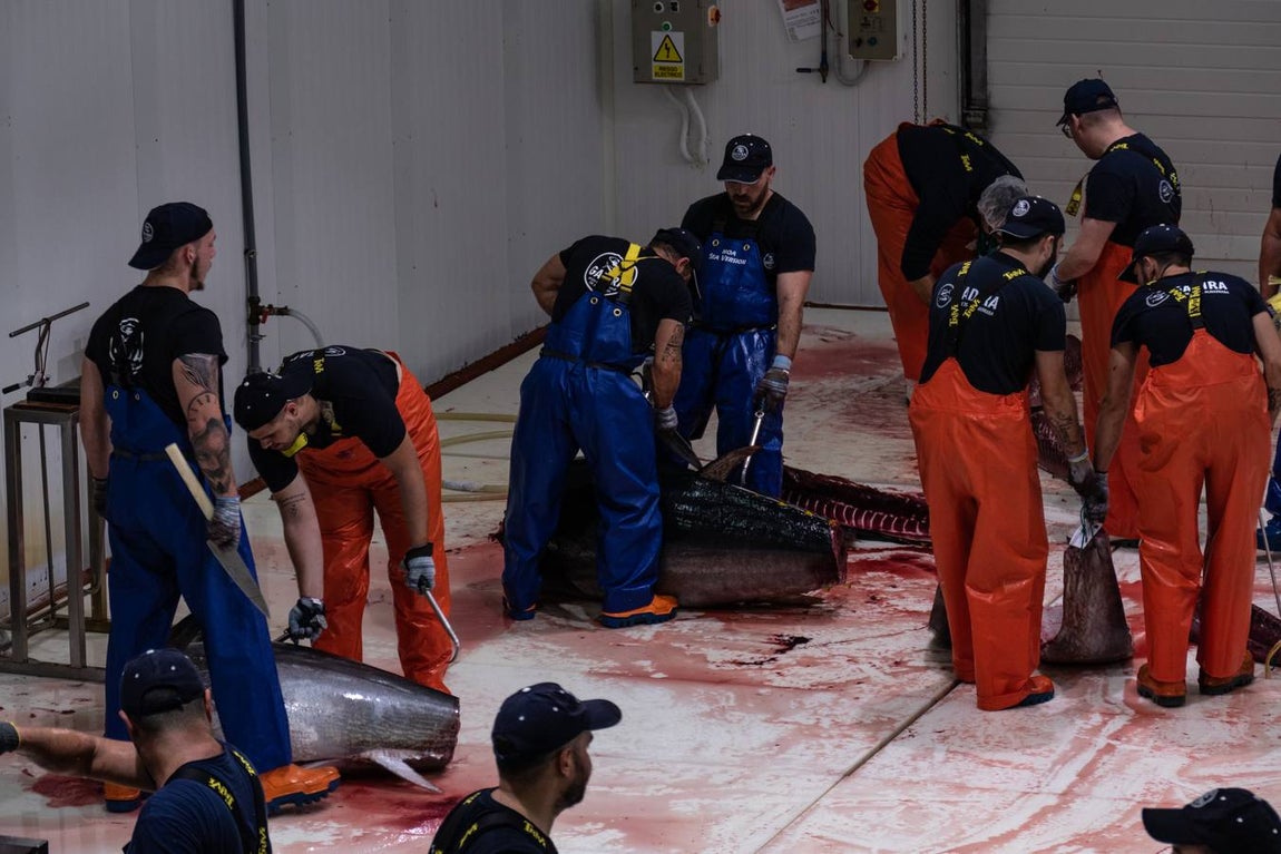 Fotogalería: Los últimos artesanos de las almadrabas