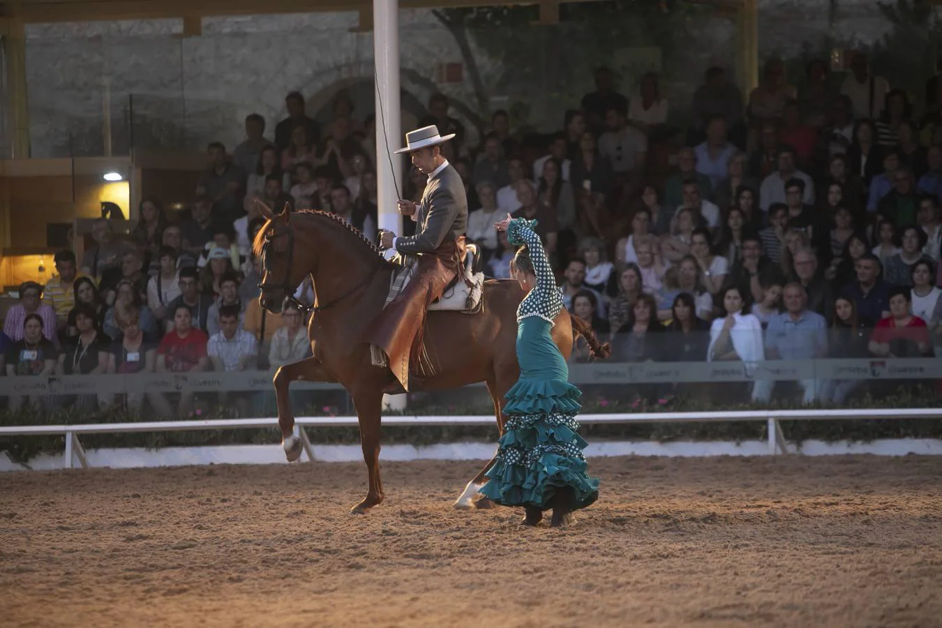 El espectáculo ecuestre en los Patios de Córdoba, en imágenes