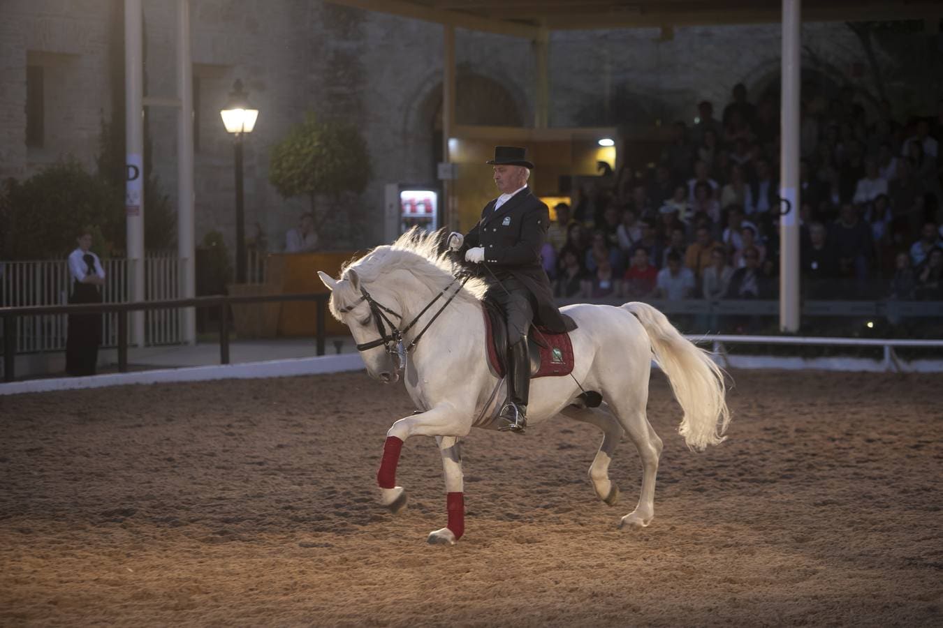 El espectáculo ecuestre en los Patios de Córdoba, en imágenes