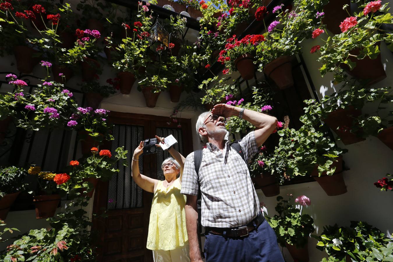 El penúltimo aliento de los Patios de Córdoba