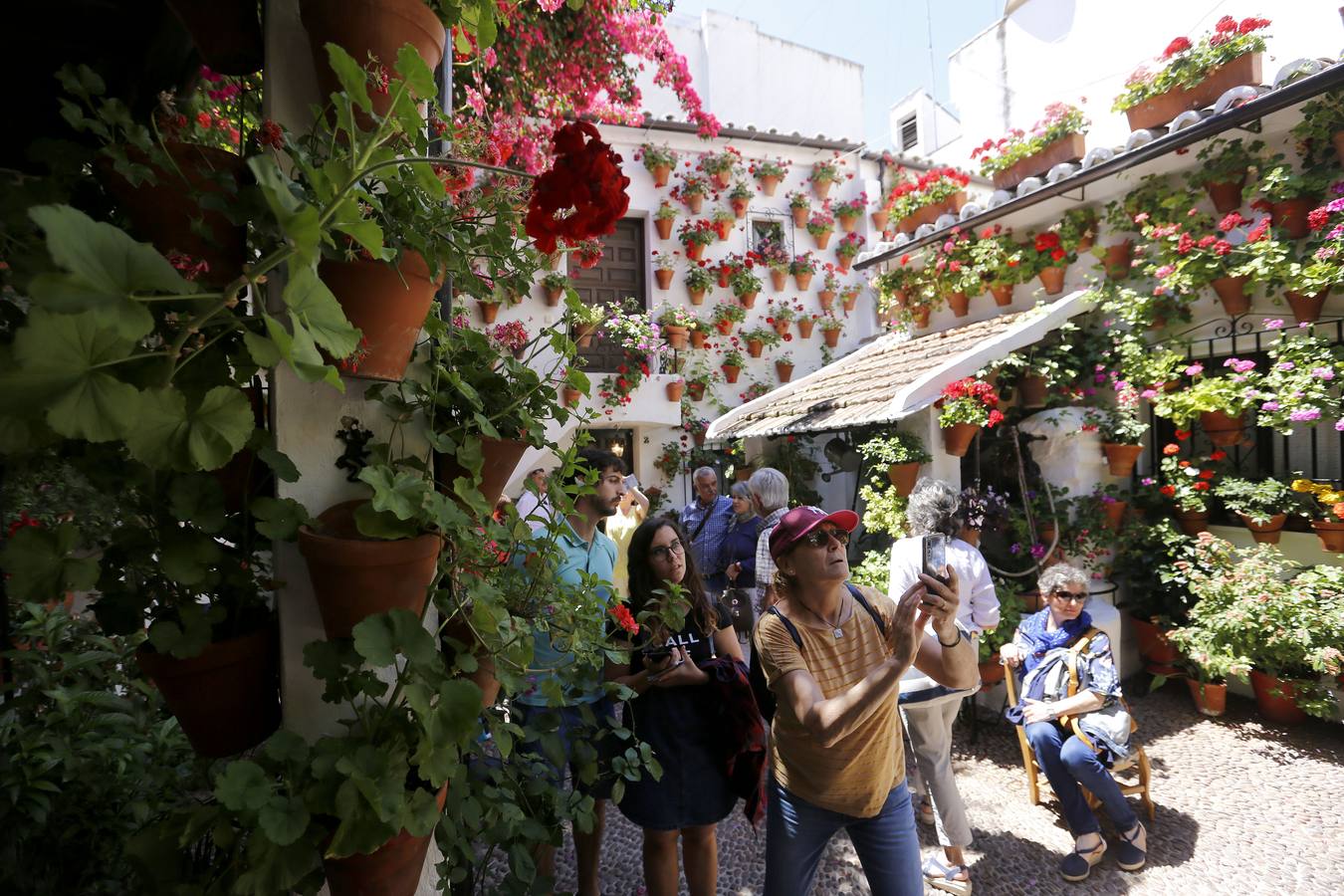 El penúltimo aliento de los Patios de Córdoba