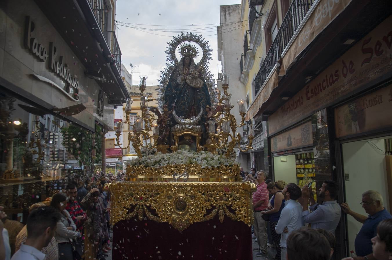 Galería de la Salud de San Isidoro