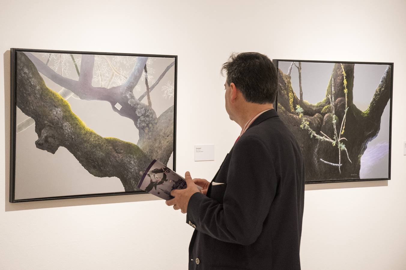 Hasta el 30 de junio puede verse «Naturaleza en transformación» en la Fundación Cajasol