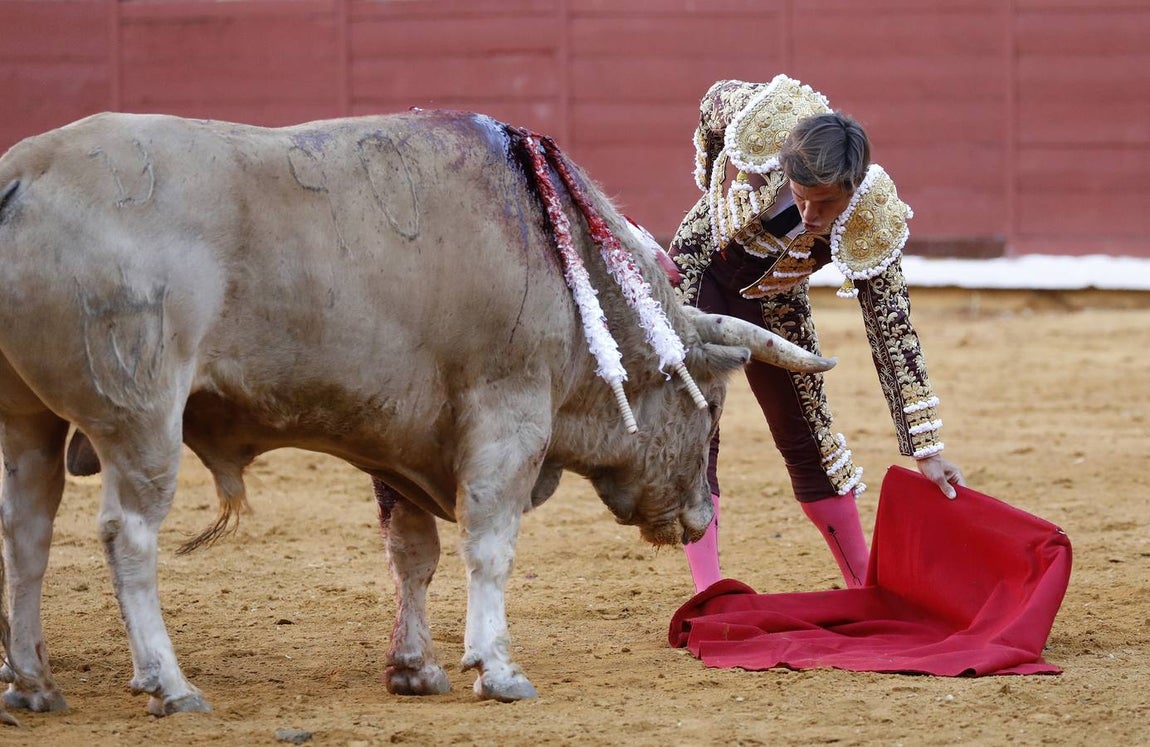 En imágenes, el festejo de Finito, Morante y Juli en la Feria de Córdoba