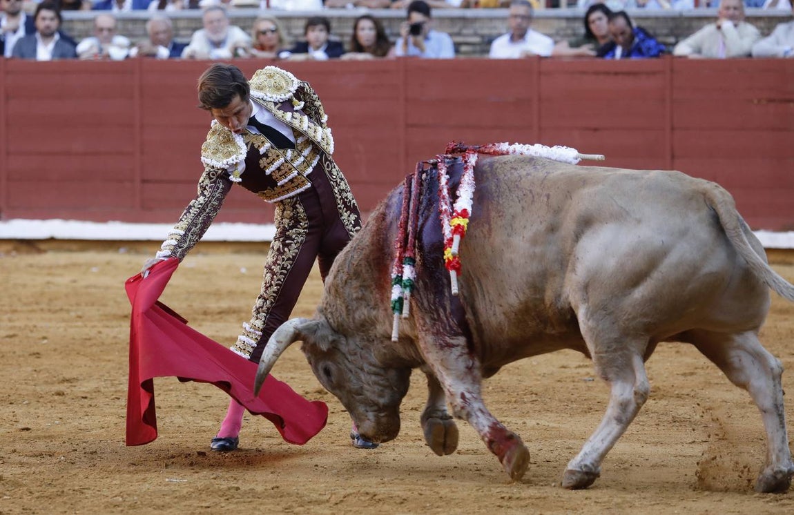 En imágenes, el festejo de Finito, Morante y Juli en la Feria de Córdoba