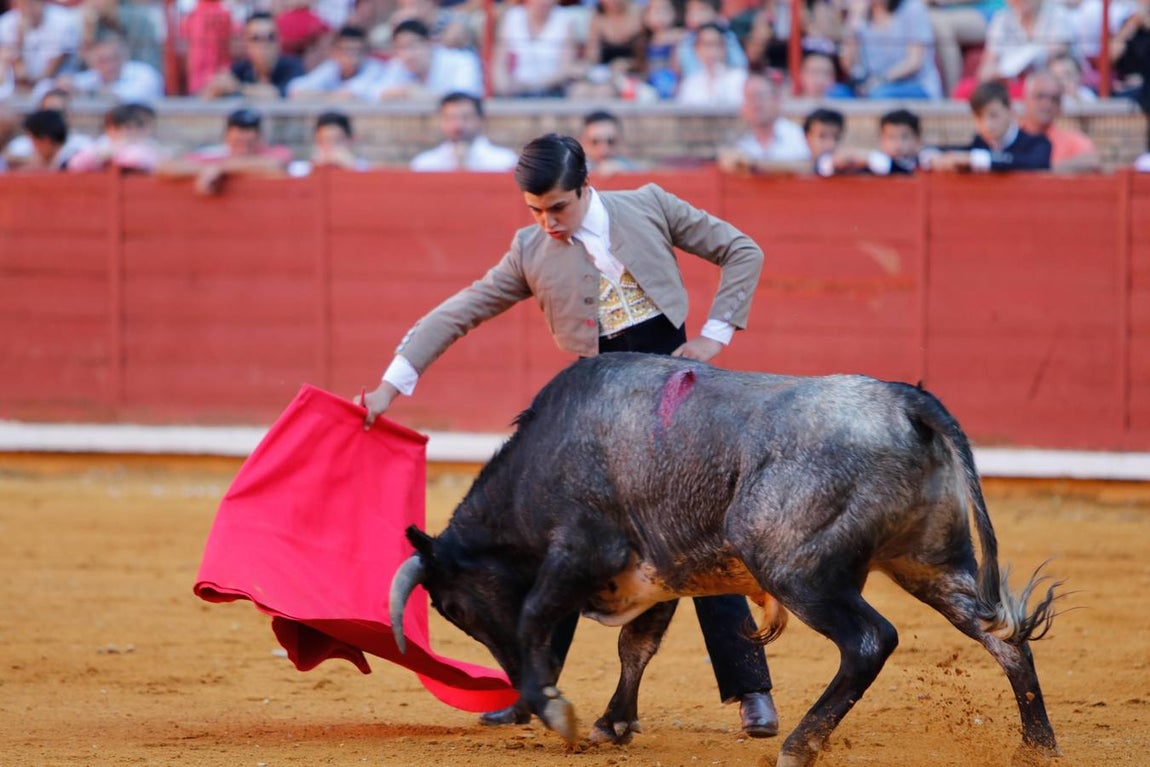 La becerrada de la mujer cordobesa en la Plaza de Toros de Los Califas, en imágenes