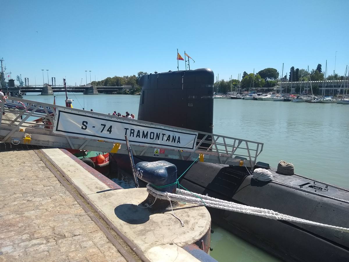 #FuerzasArmadasABC: así han captado nuestros lectores los actos de las Fuerzas Armadas