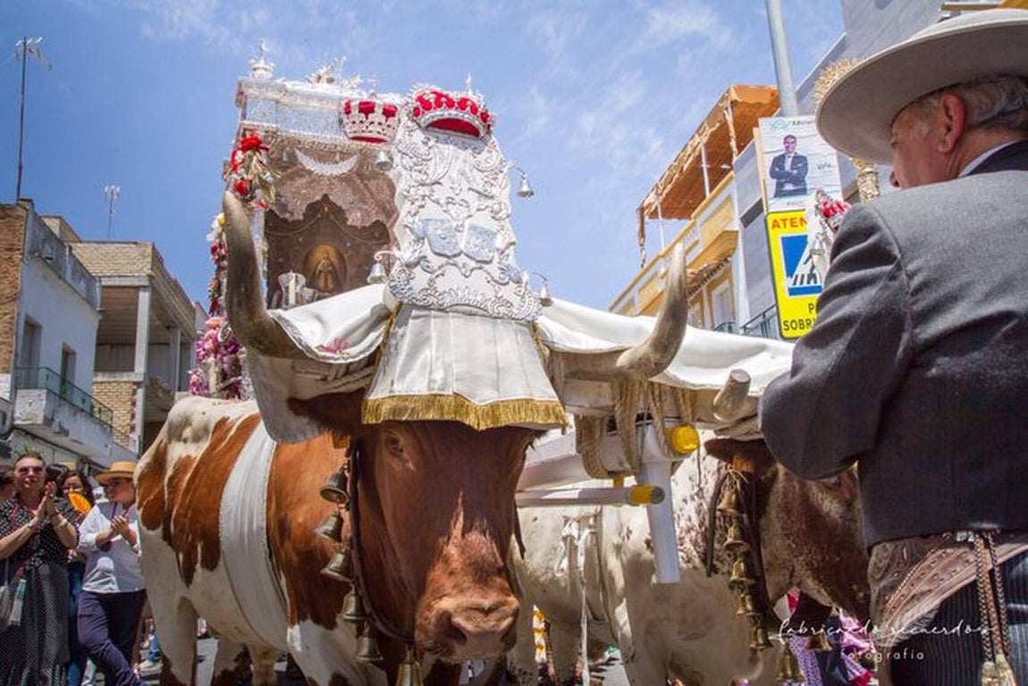 #MiRocíoenABC: los primeros días del Camino del Rocío a través de las fotos de nuestros lectores