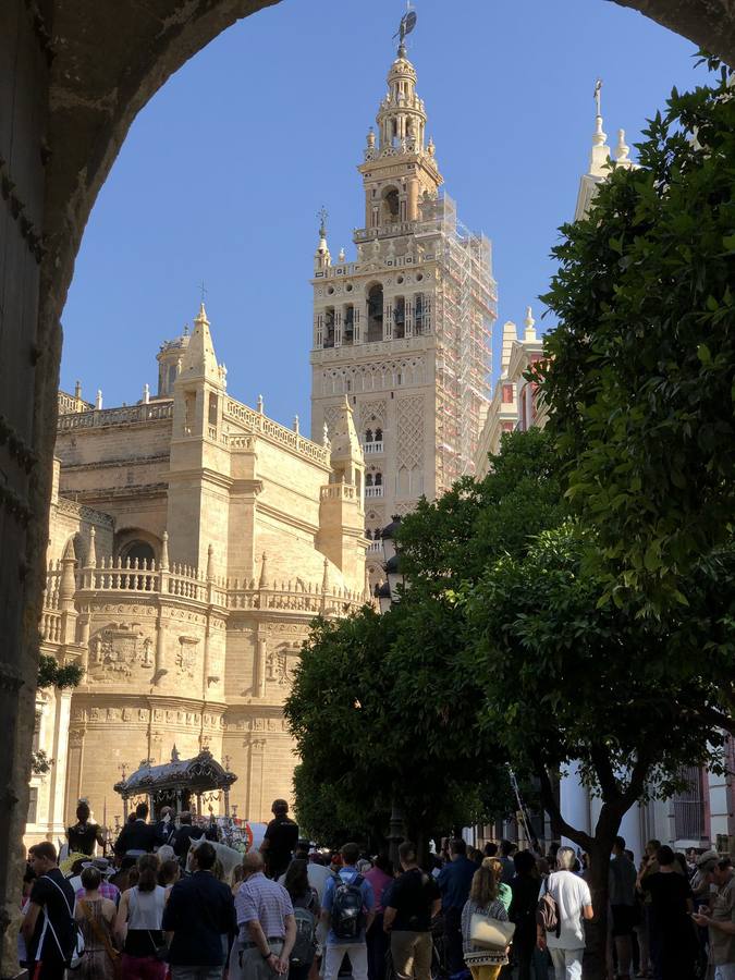 #MiRocíoenABC: los primeros días del Camino del Rocío a través de las fotos de nuestros lectores