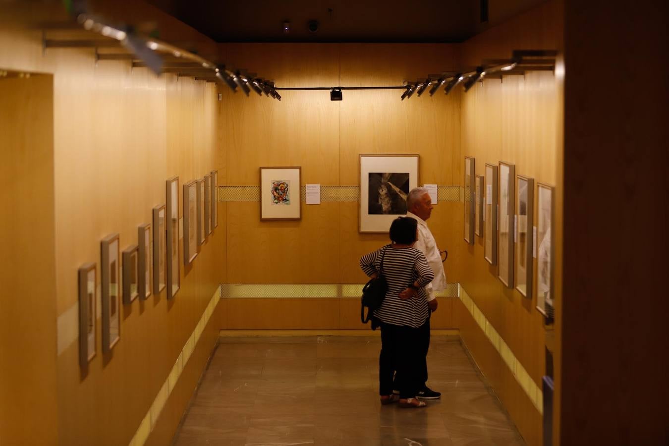 El museo de Bellas Artes de Córdoba, en imágenes