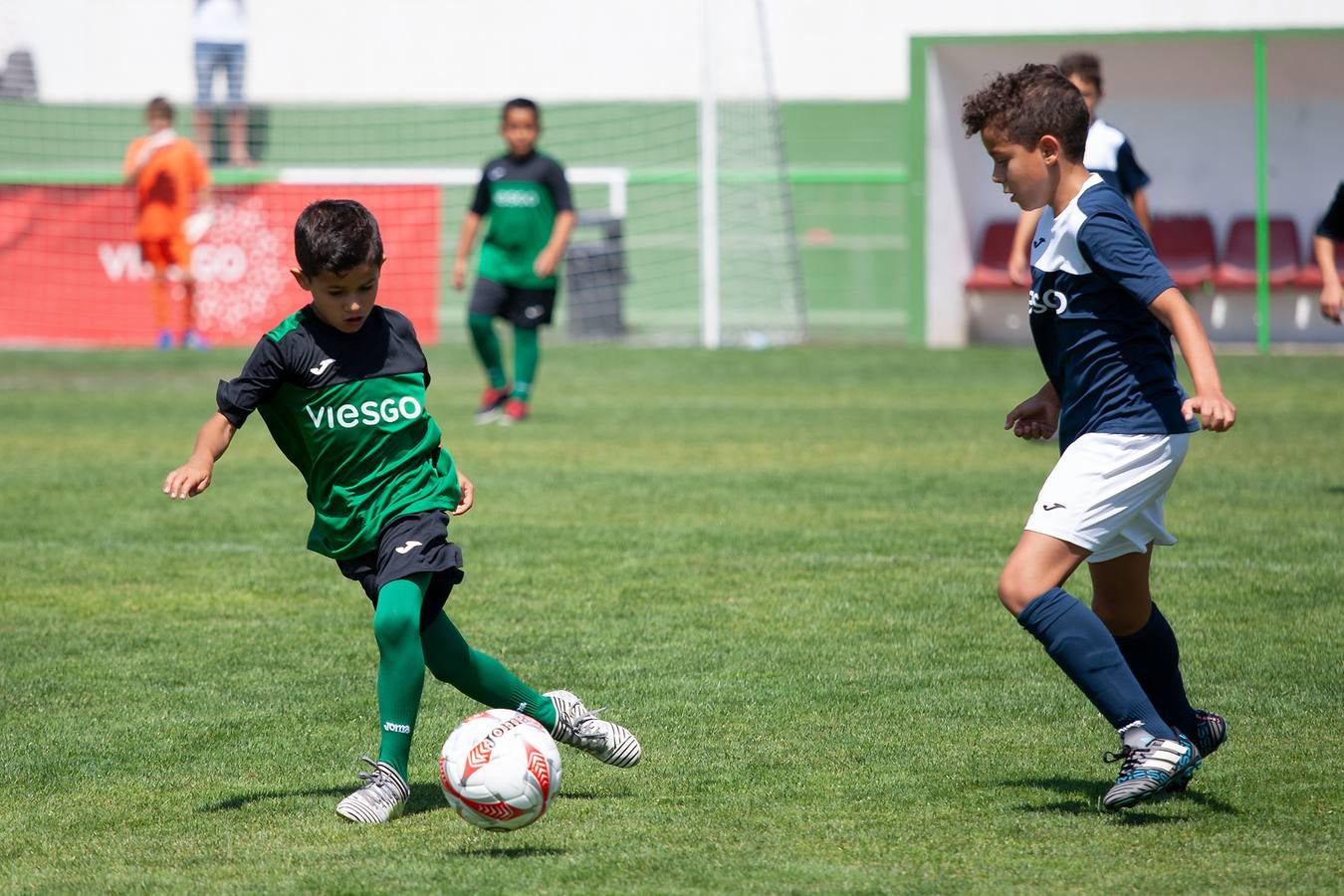 FOTOS: La Copa Viesgo, en imágenes