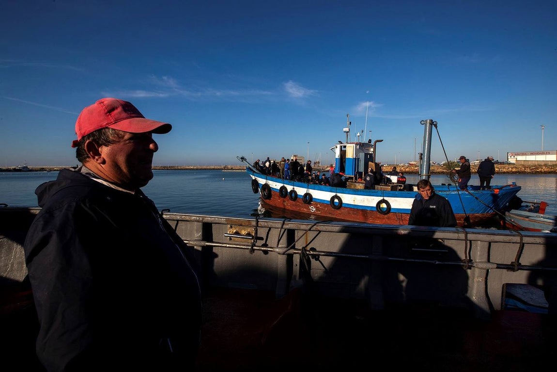 Almadrabas, una saga de tres mil años