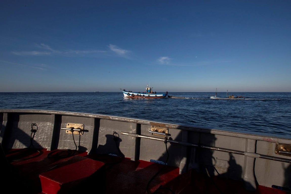 Almadrabas, una saga de tres mil años