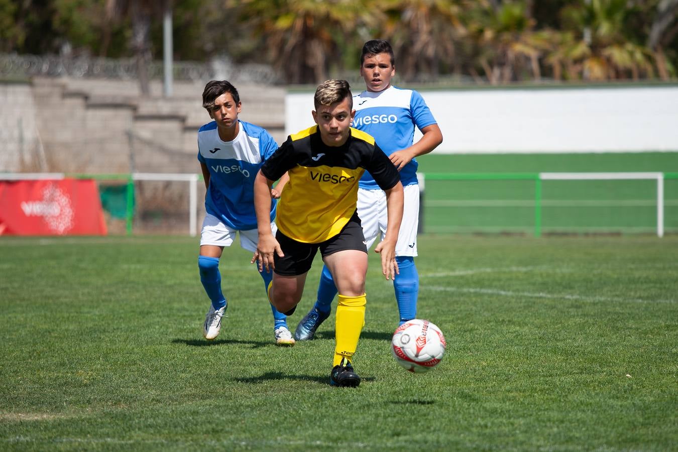 Copa viesgo: semifinales y final categoría bebé