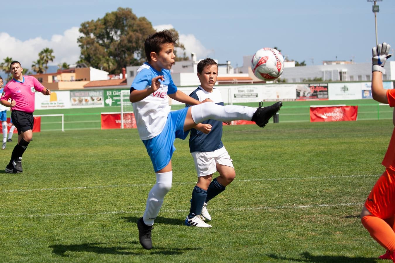 Copa viesgo: semifinales y final categoría bebé