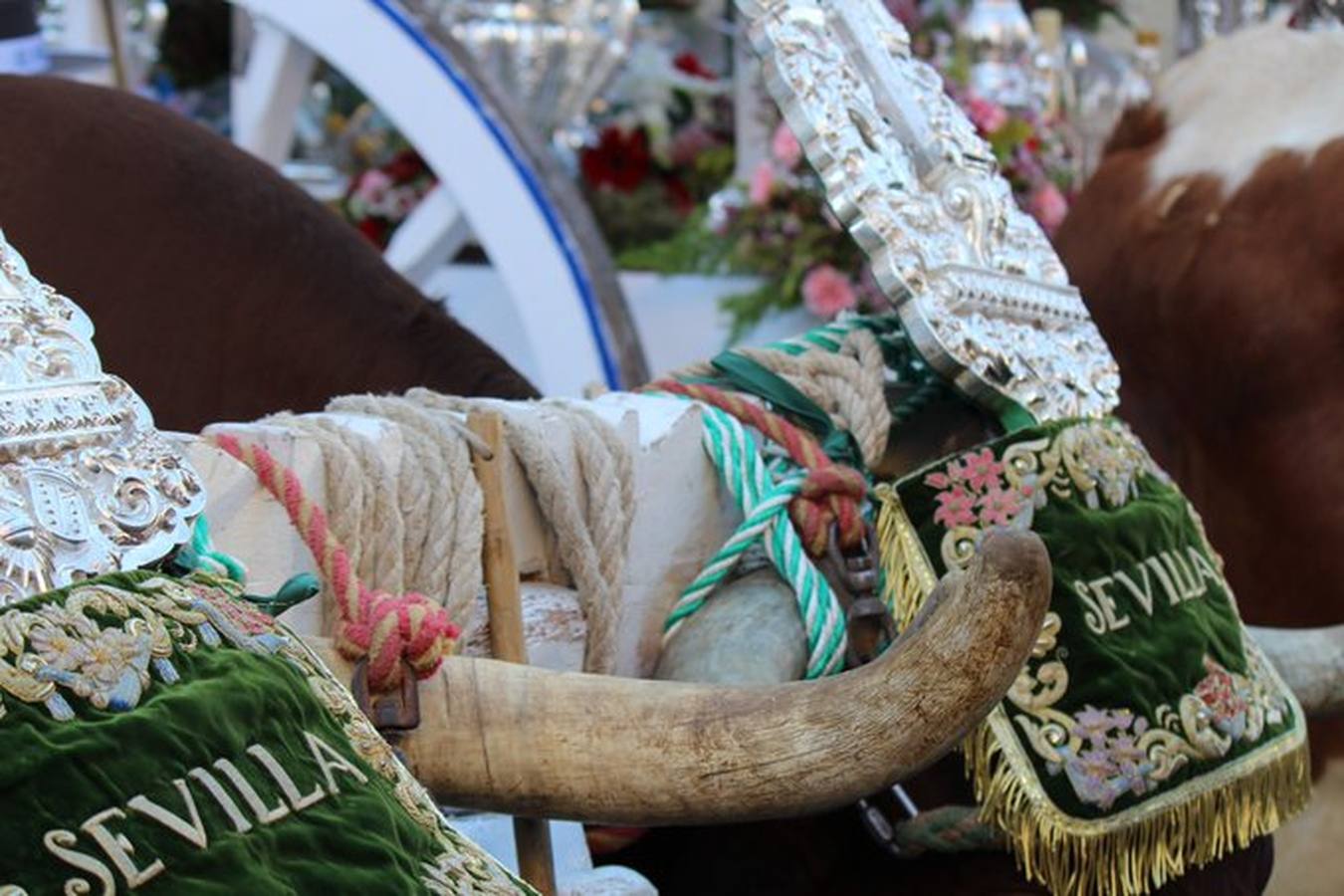 #MiRocíoenABC (II): el ambiente en la aldea a través de las fotos de nuestros lectores