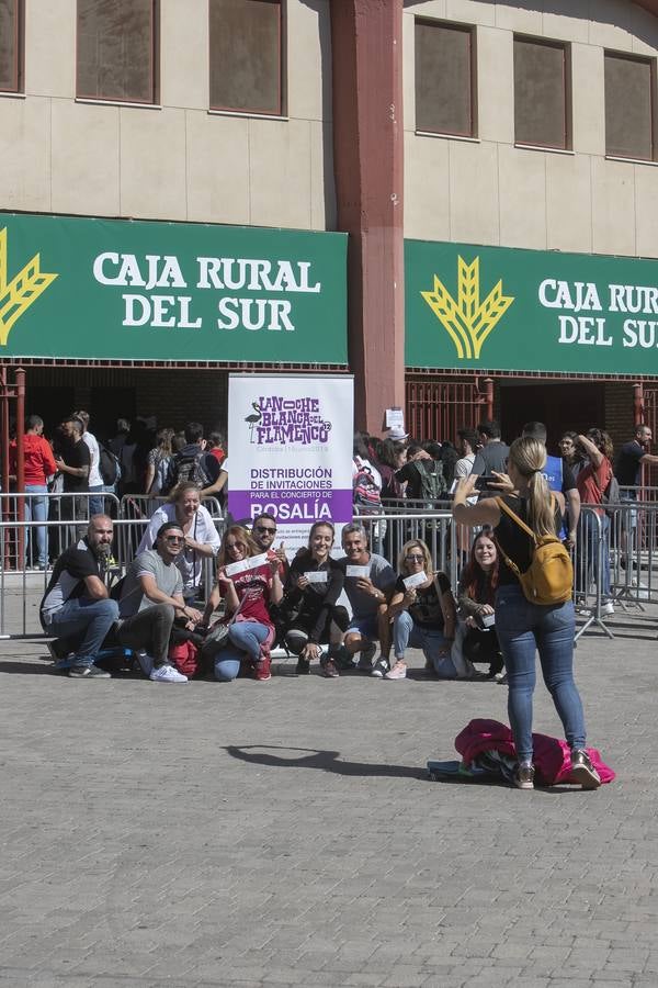 Las colas para las invitaciones del concierto de Rosalía en Córdoba, en imágenes