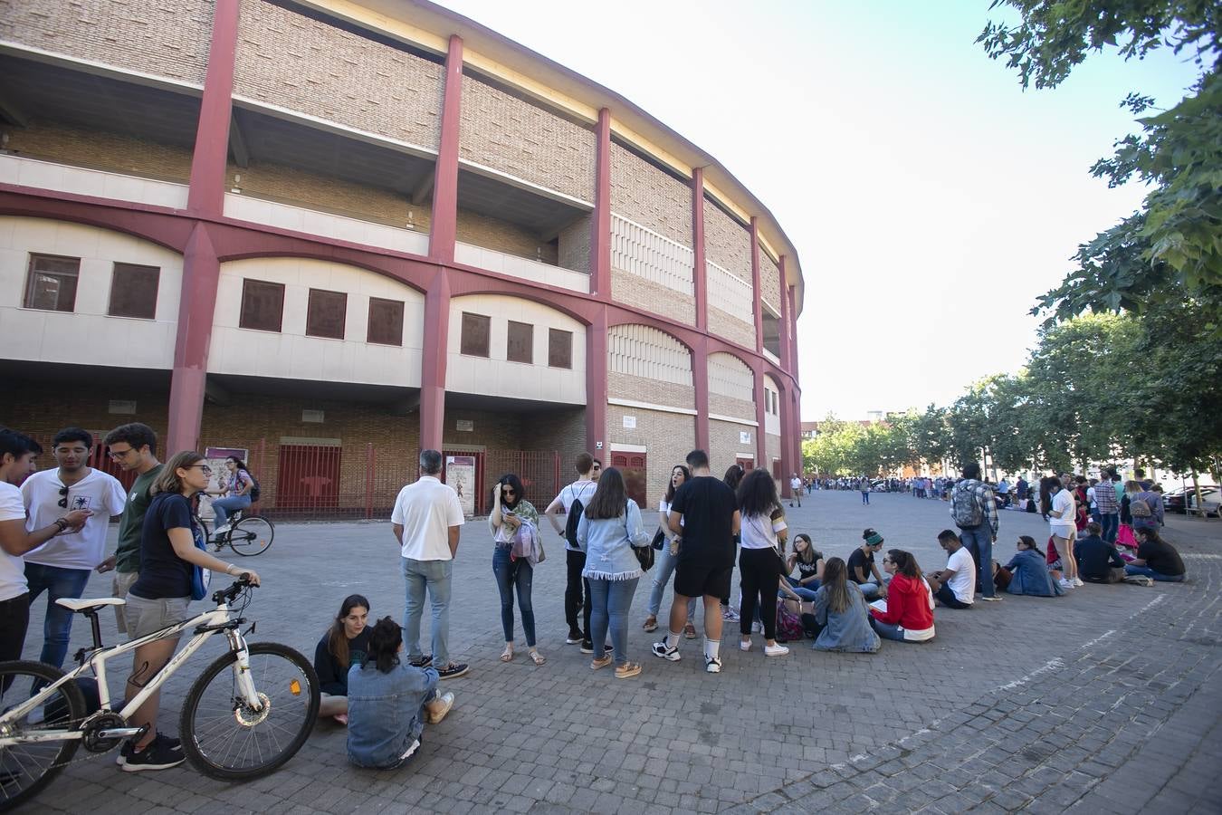 Las colas para las invitaciones del concierto de Rosalía en Córdoba, en imágenes