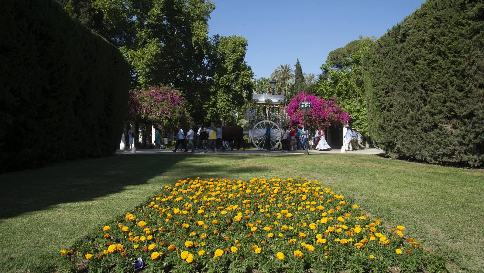 Galería del Rocío del Cerro del Águila