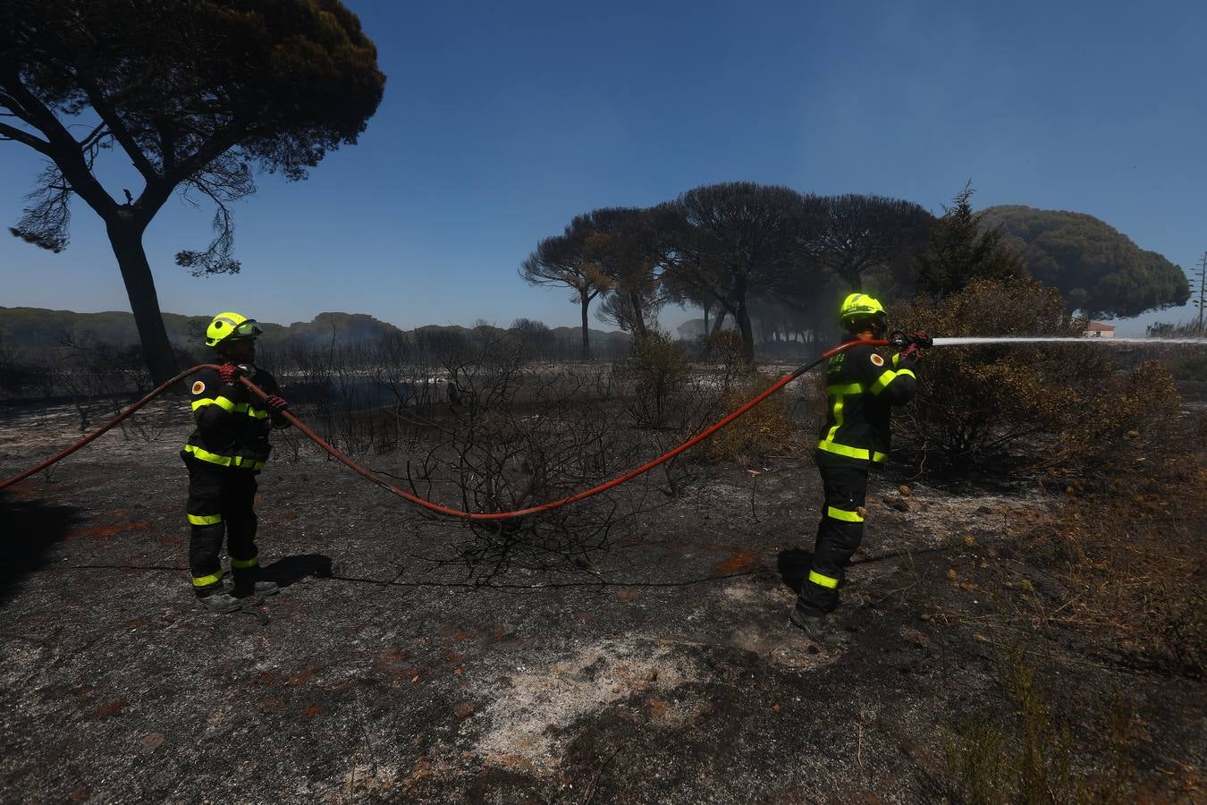 Fotos: Grave incendio en Conil, Cádiz