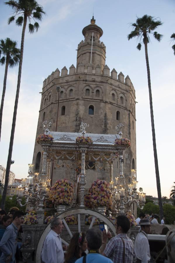 Galería de la vuelta de las hermandades del Rocío a Sevilla