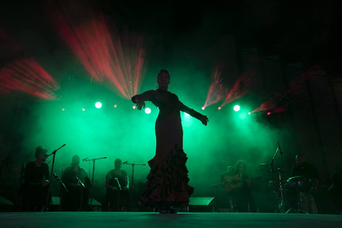 Galería del concierto de Remedios Amaya en Córdoba