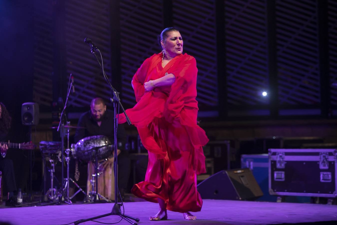 Galería del concierto de Remedios Amaya en Córdoba