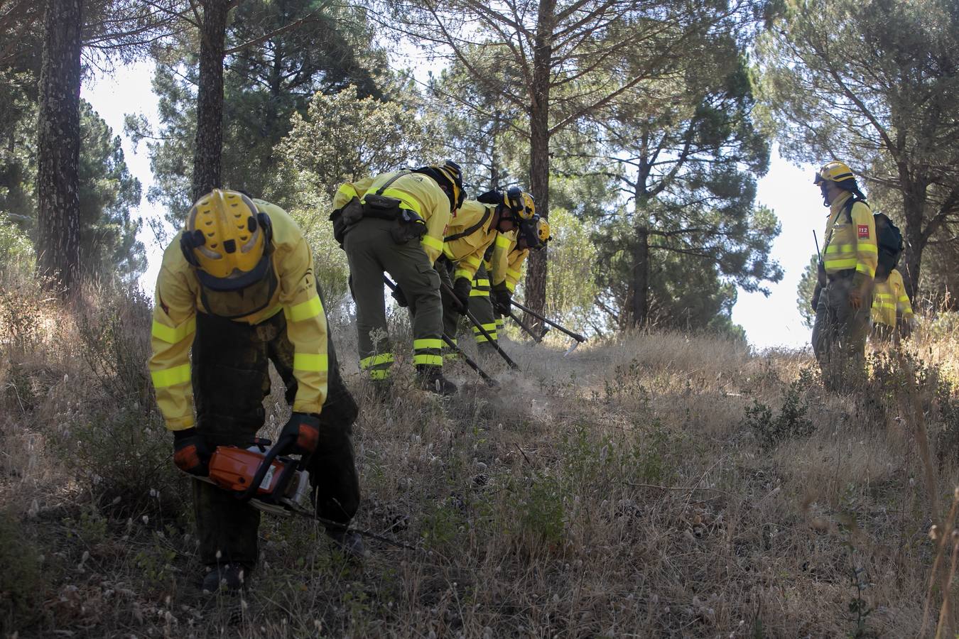 La preparación del Infoca de Córdoba, en imágenes