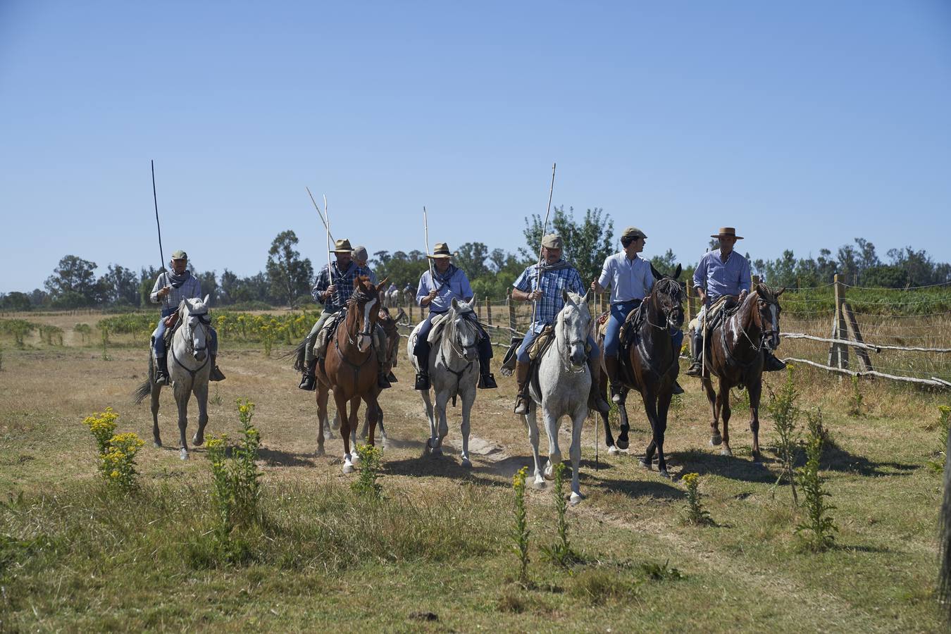 Almonte se prepara para la «Saca de las Yeguas»