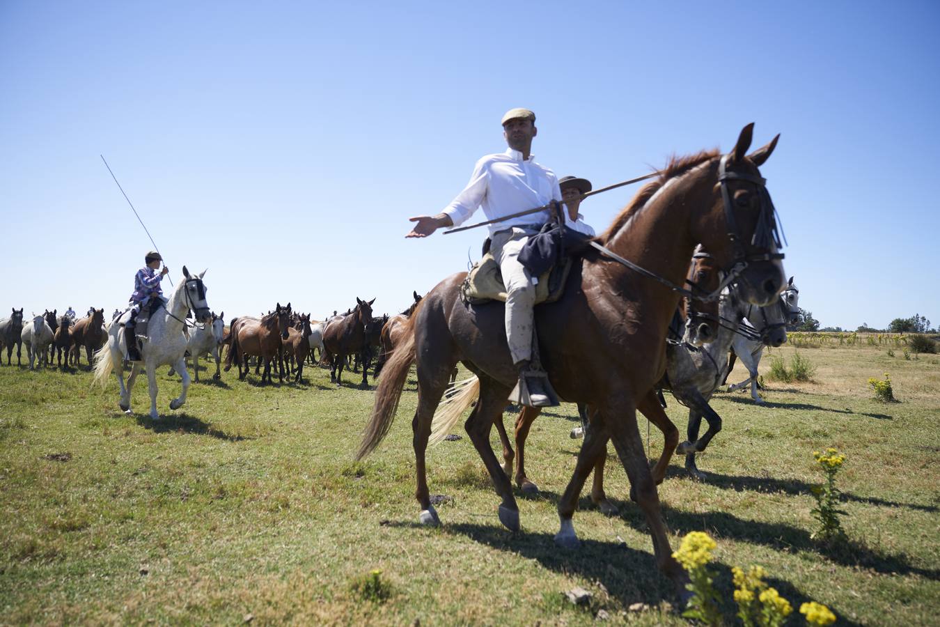 Almonte se prepara para la «Saca de las Yeguas»