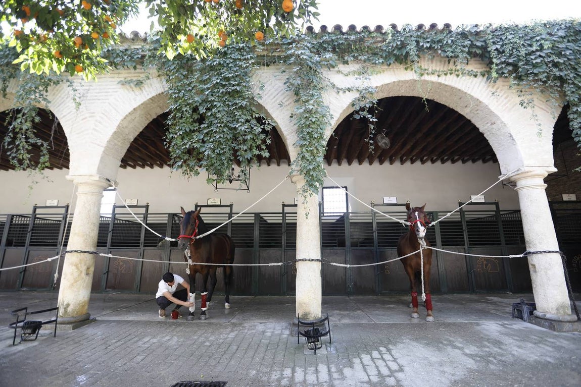 La huerta de Caballerizas Reales, en imágenes