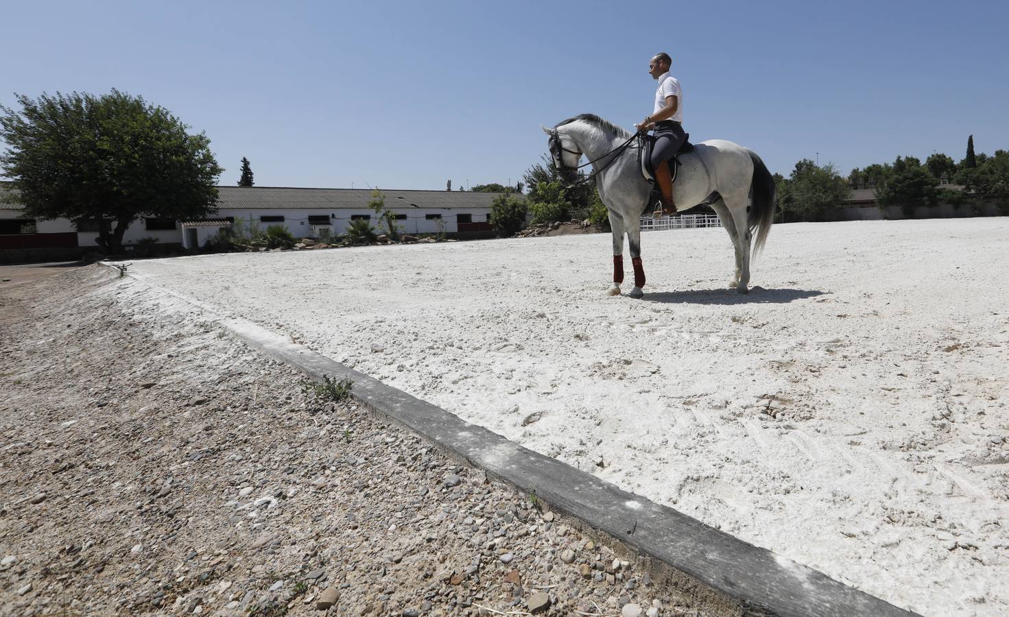 La huerta de Caballerizas Reales, en imágenes