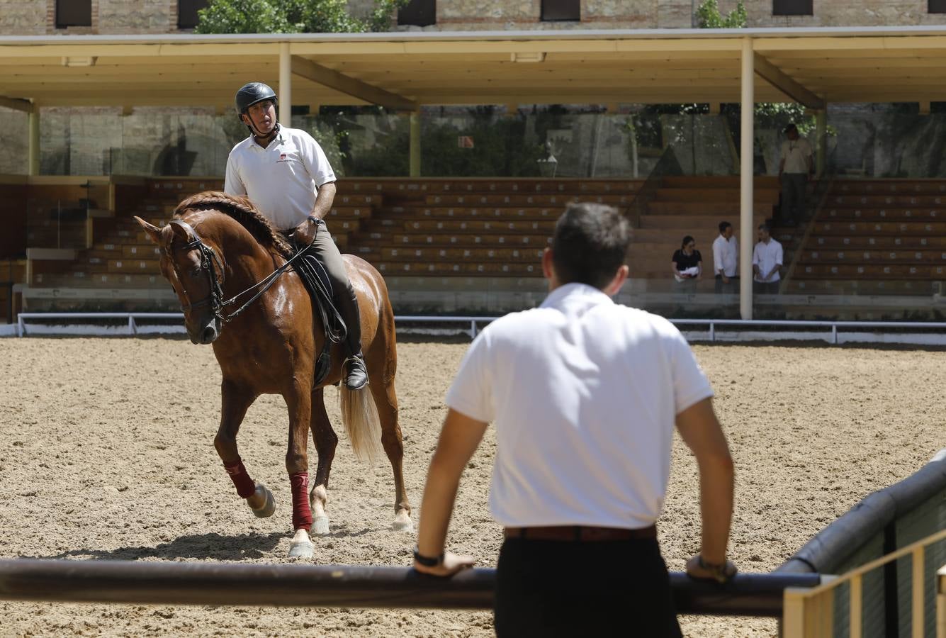 La huerta de Caballerizas Reales, en imágenes