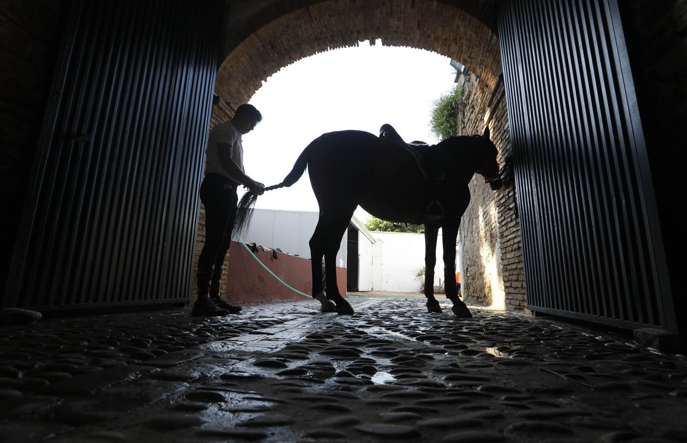 La huerta de Caballerizas Reales, en imágenes