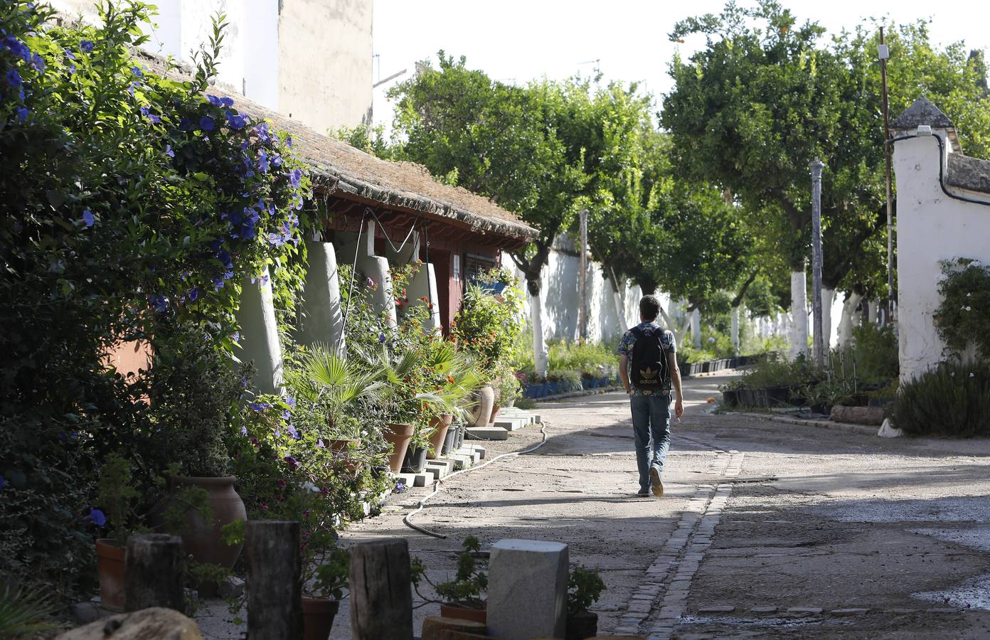 La huerta de Caballerizas Reales, en imágenes