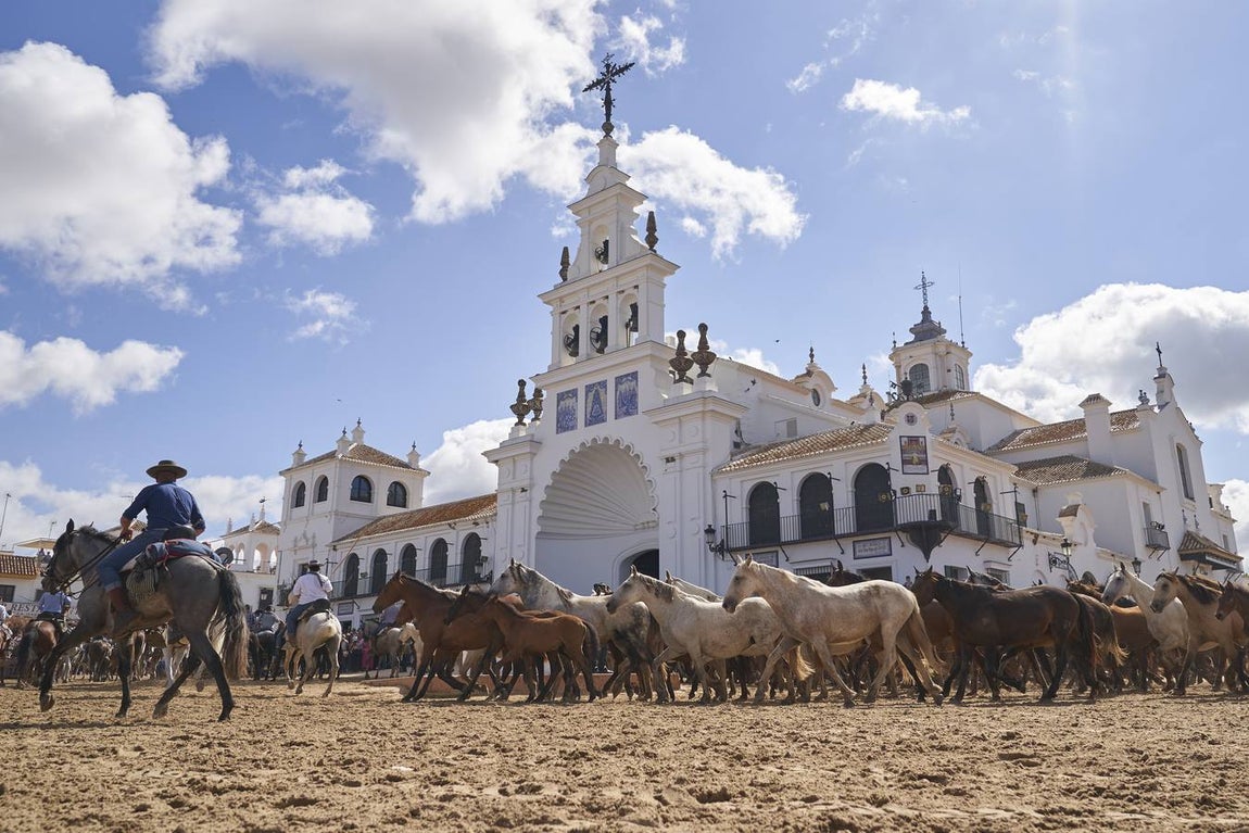 Impresionantes imágenes de la Saca de yeguas en el Rocío