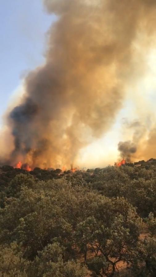 Un gran incendio obliga a desalojar viviendas en la urbanización Montesión de Toledo