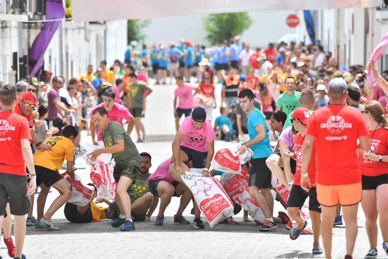 Las Olimpiadas Rurales de Añora, en imágenes