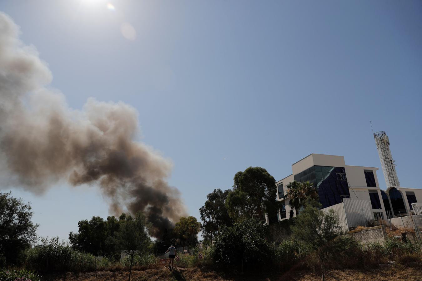 Incendio superficial en el acceso a la instalación de Océanos del Oceanogràfic. 