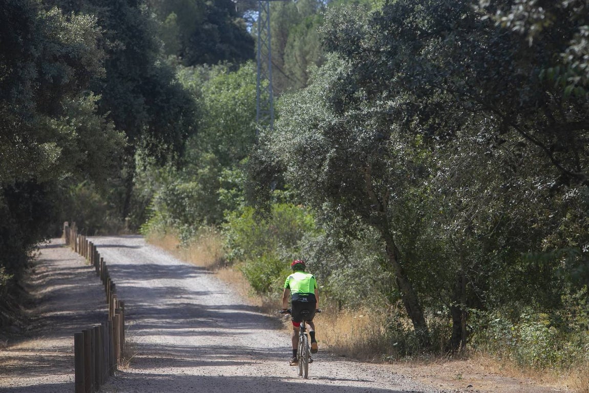 En imágenes, un paseo por Santa María de Trassierra